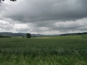 Devese 2010 043
